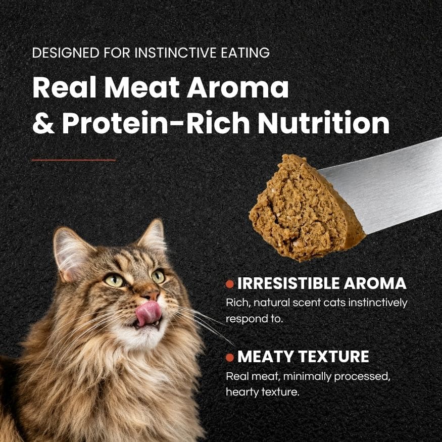 Pure Protein Mackerel Recipe Complete & Balanced Wet Cat Food - 24 Cans